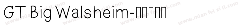 GT Big Walsheim字体转换